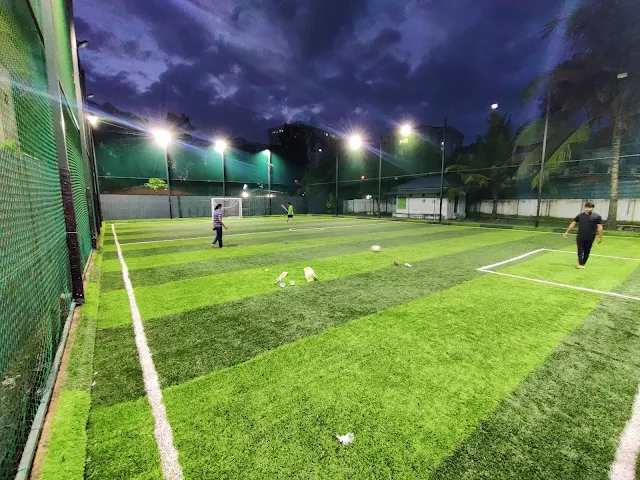Turf photo 2