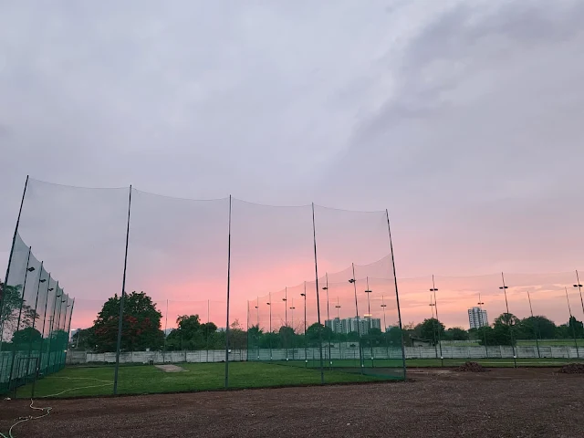 Turf photo 6