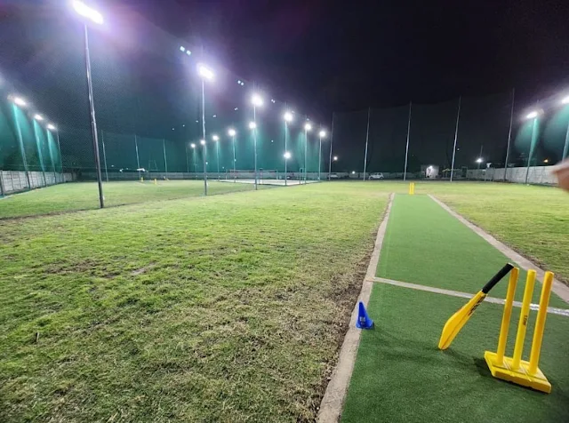 Turf photo 3