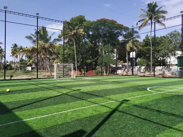 Turf photo 2