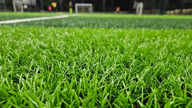 Turf photo 4