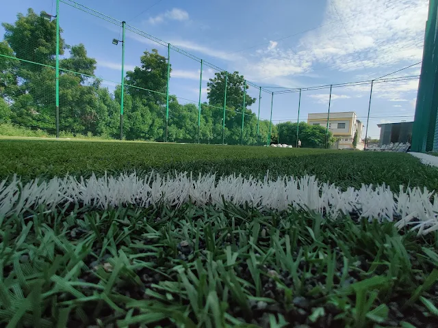 Turf photo 2