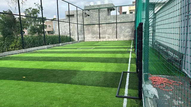 Turf photo 5