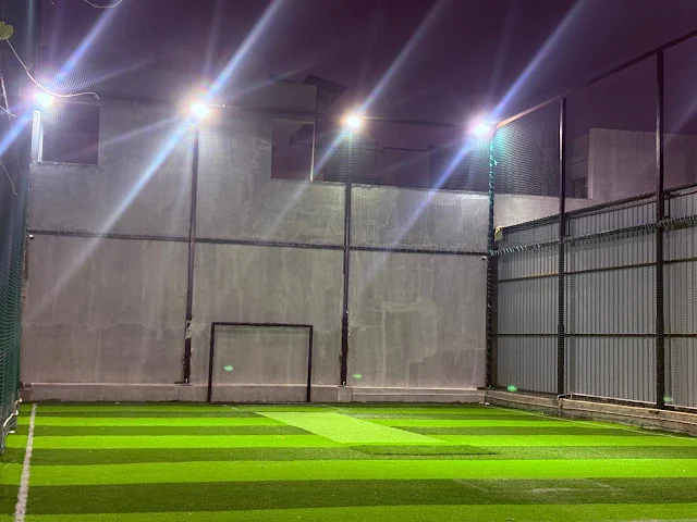 Turf photo 3