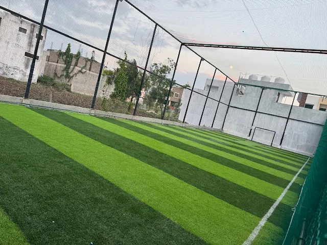 Turf photo 4