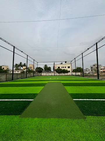 Turf photo 2