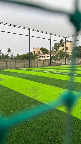 Turf photo 5