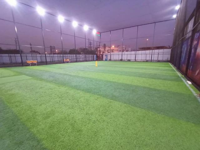 Turf photo 4