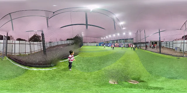Turf photo 3
