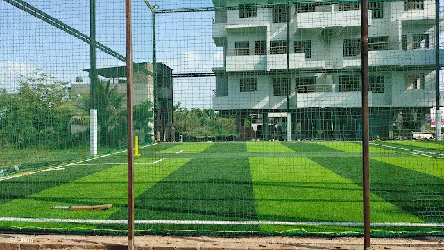 Turf photo 4