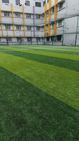 Turf main photo