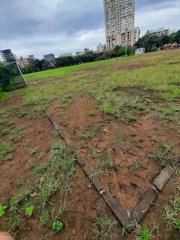 Turf photo 6