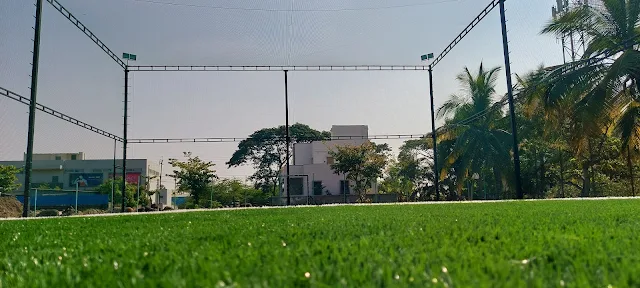 Turf photo 3