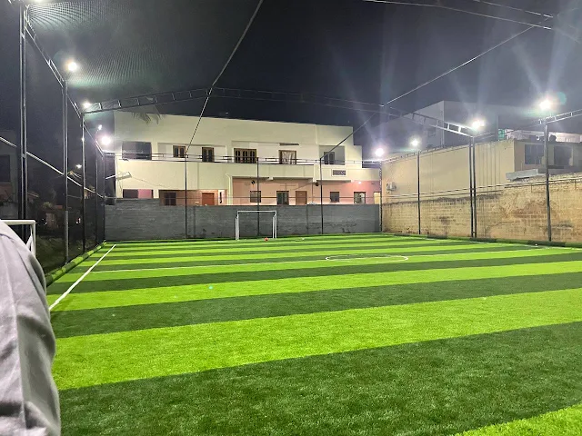 Turf photo 2