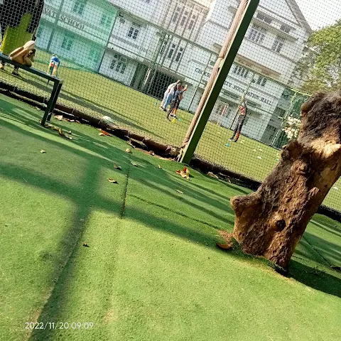 Turf photo 3