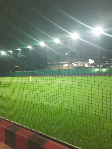 Turf photo 6