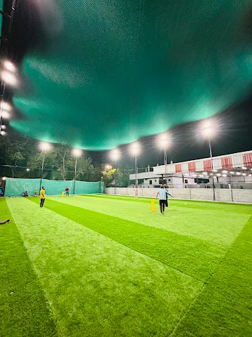 Turf photo 3