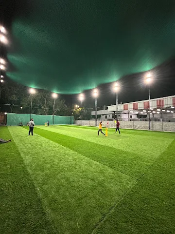 Turf photo 5