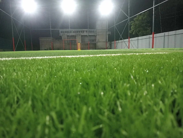 Turf photo 3