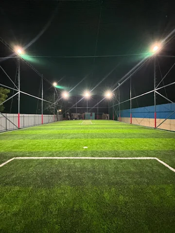 Turf photo 2