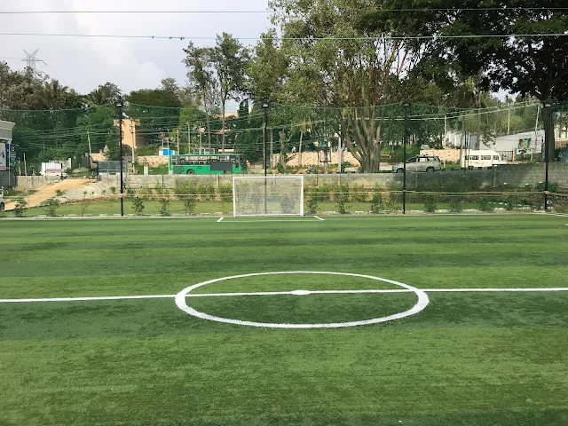 Turf photo 2
