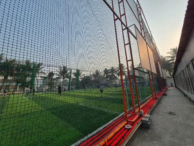 Turf photo 2