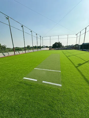 Turf photo 3