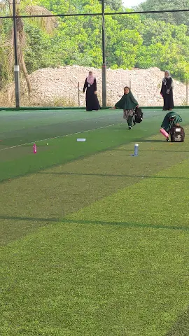 Turf photo 8