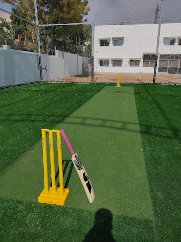 Turf photo 7
