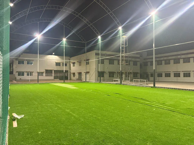Turf photo 2