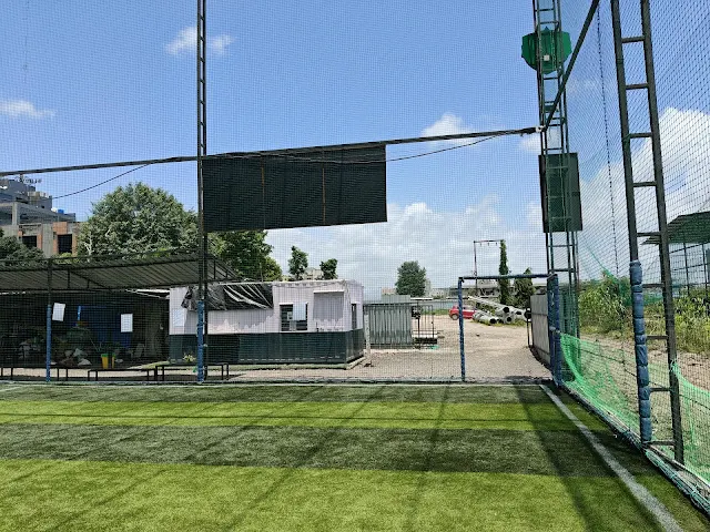 Turf photo 7