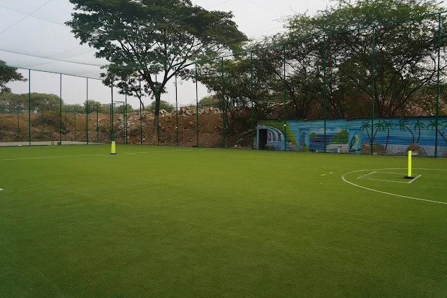 Turf photo 3
