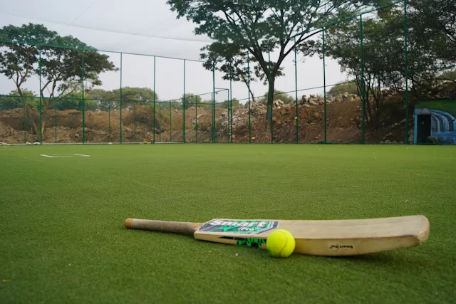 Turf photo 2