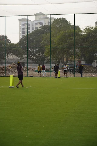 Turf photo 4