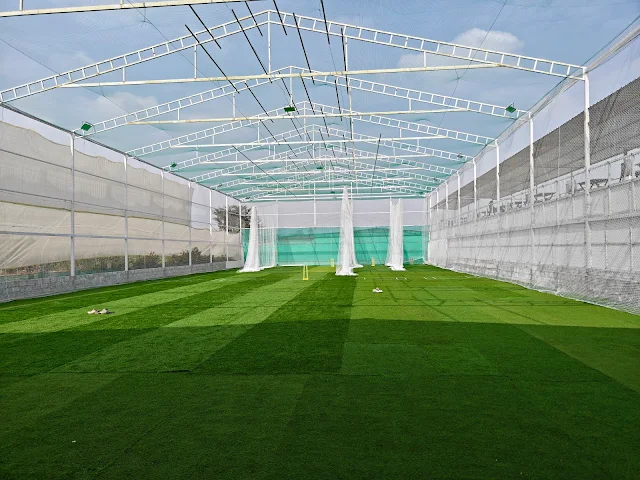 Turf photo 2