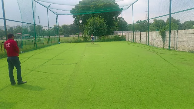 Turf photo 2
