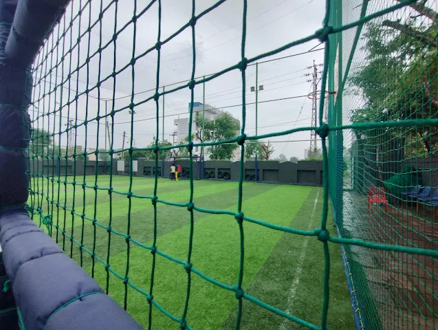 Turf photo 4