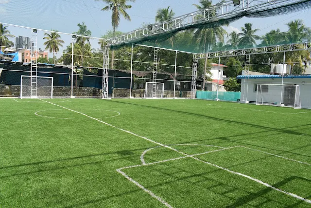 Turf photo 3