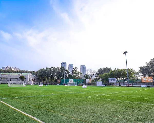 Turf main photo