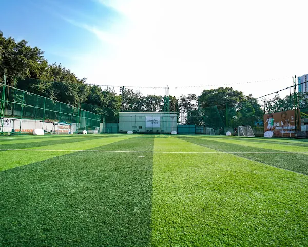 Turf photo 4