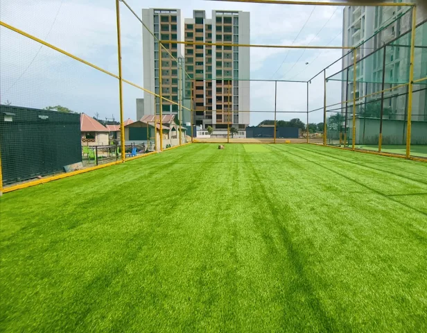 Turf photo 3