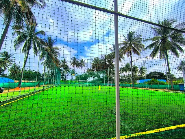 Turf photo 5