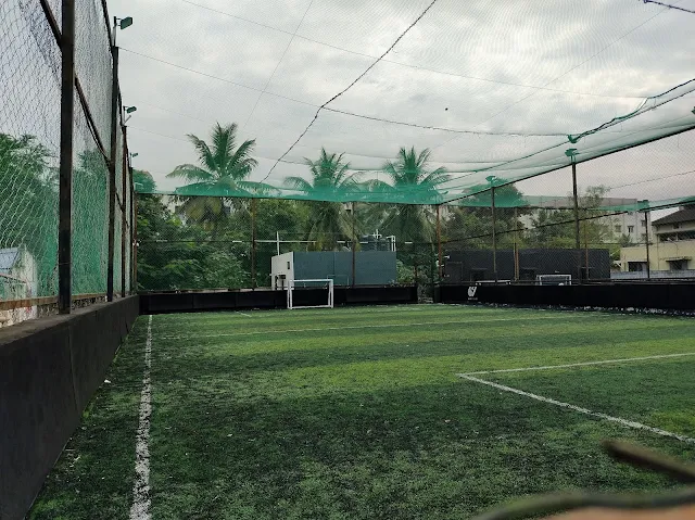 Turf photo 4