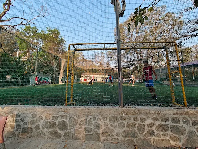 Turf main photo