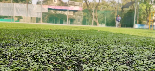 Turf photo 2