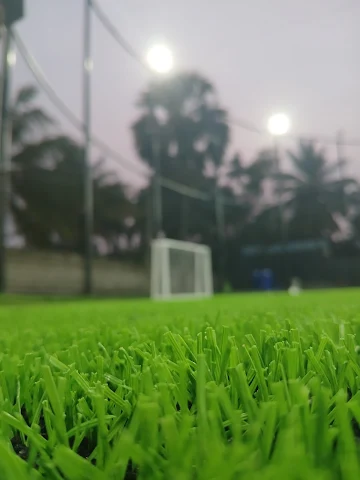 Turf photo 5