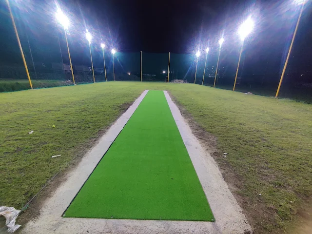 Turf photo 2