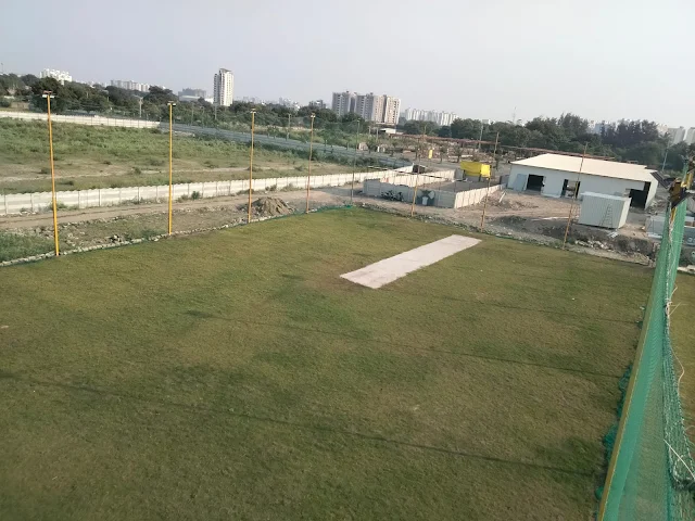 Turf photo 5