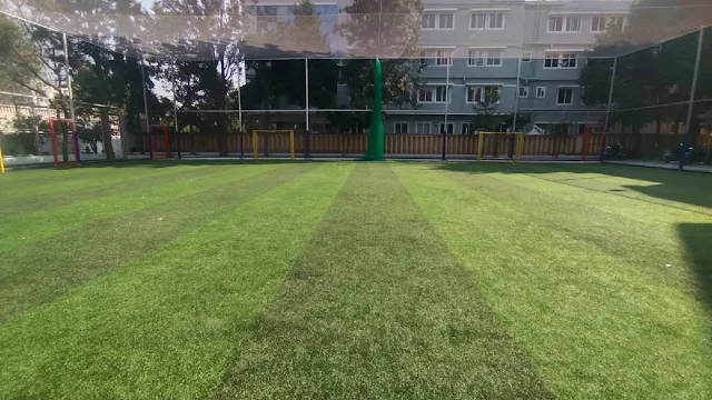 Turf photo 3