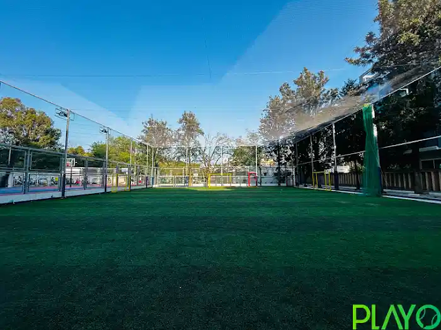 Turf photo 4